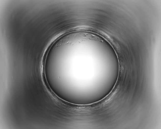 X0000093771418200710160847
