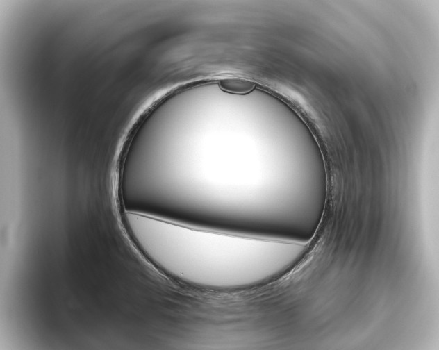 X0000093771424200710160847