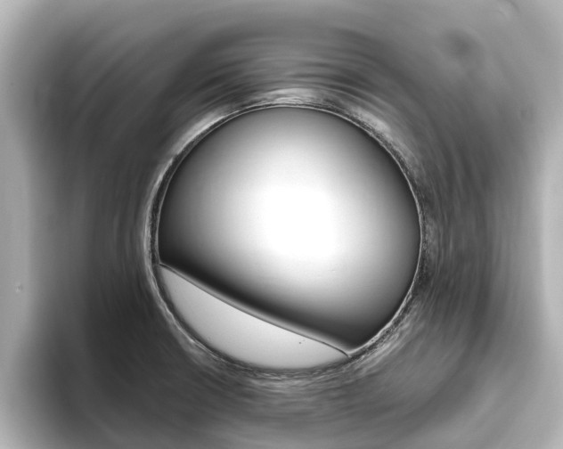 X0000093771426200710160847