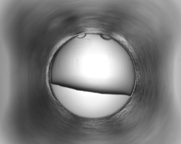 X0000093771427200710160847