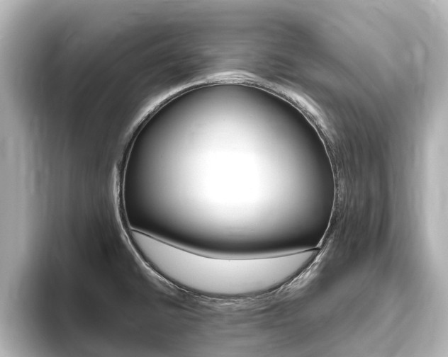 X0000093771430200710160847