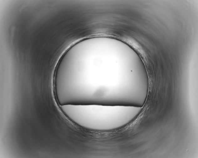 X0000093771431200710160847