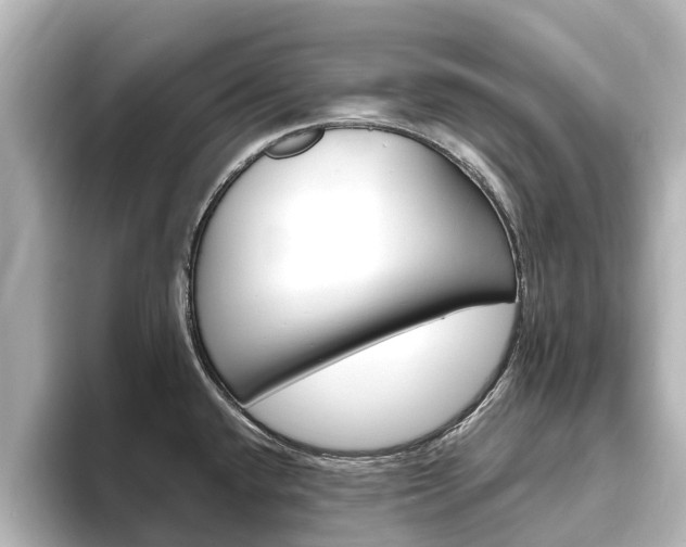 X0000093771432200710160847