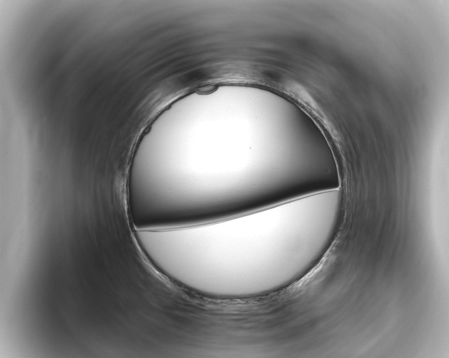 X0000093771433200710160847