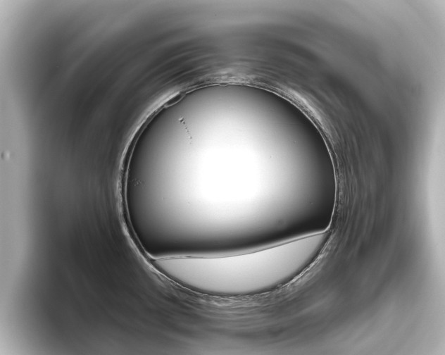 X0000093771434200710160847