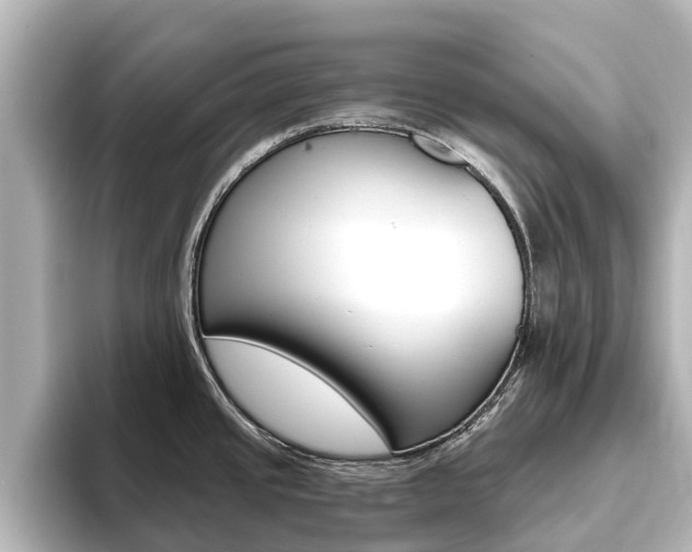X0000093771437200710160847