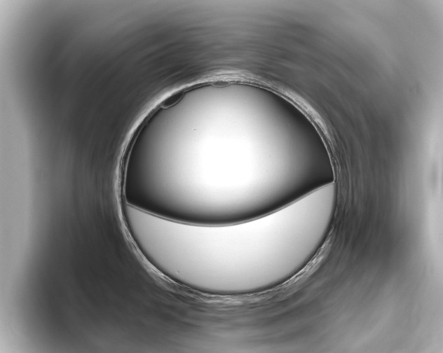 X0000093771438200710160847