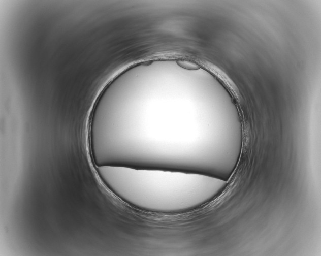 X0000093771439200710160847
