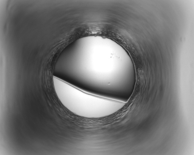 X0000093771442200710160847