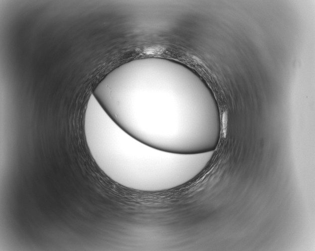 X0000093771443200710160847