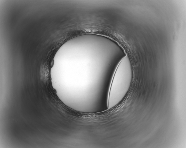 X0000093771444200710160847