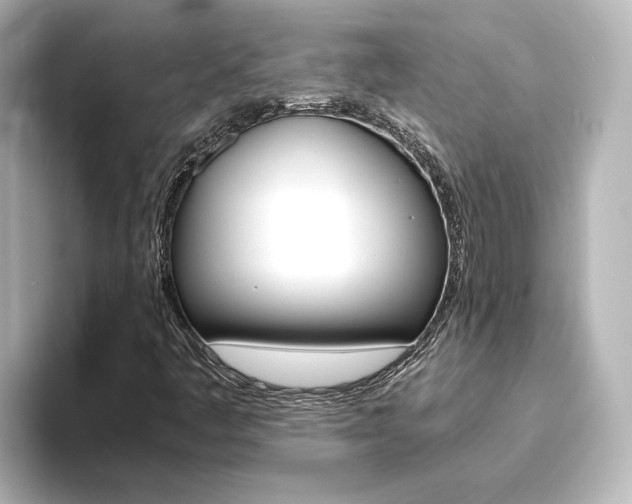 X0000093771445200710160847