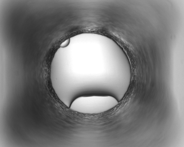 X0000093771447200710160847