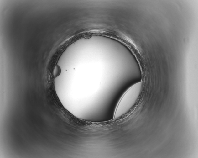 X0000093771448200710160847