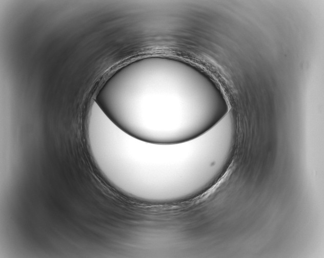 X0000093771449200710160847