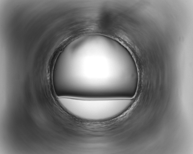 X0000093771450200710160847