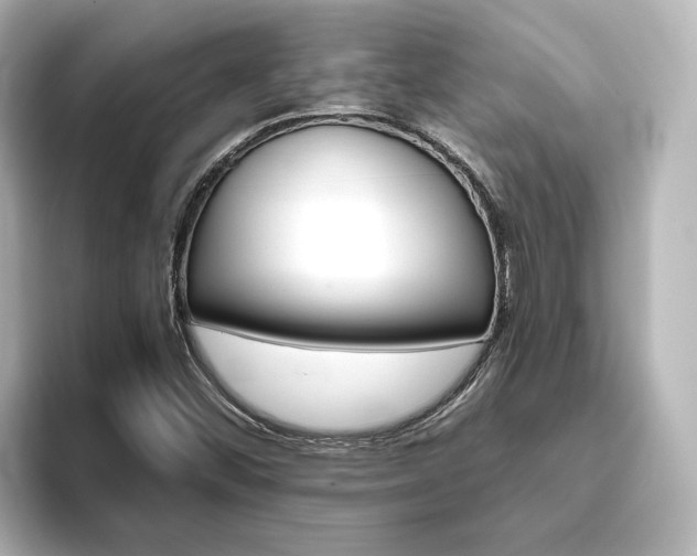 X0000093771452200710160847
