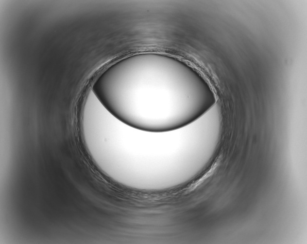 X0000093771453200710160847