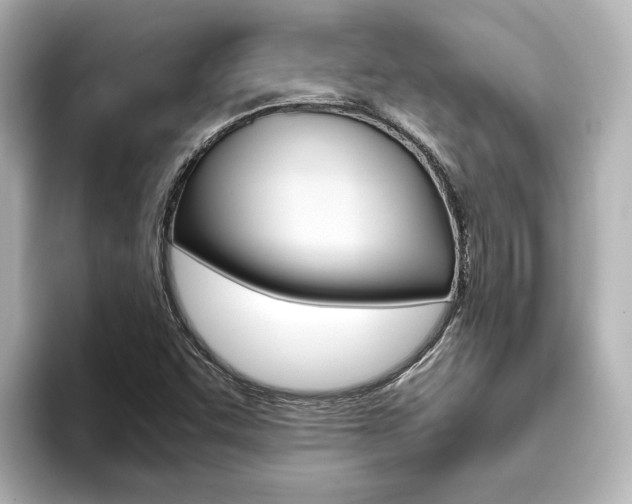 X0000093771455200710160847