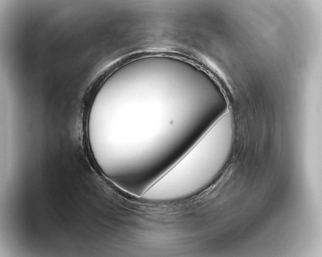 X0000093771456200710160847