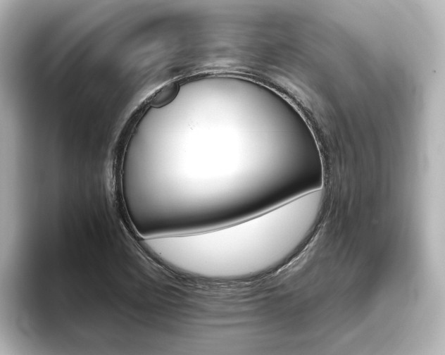 X0000093771458200710160847
