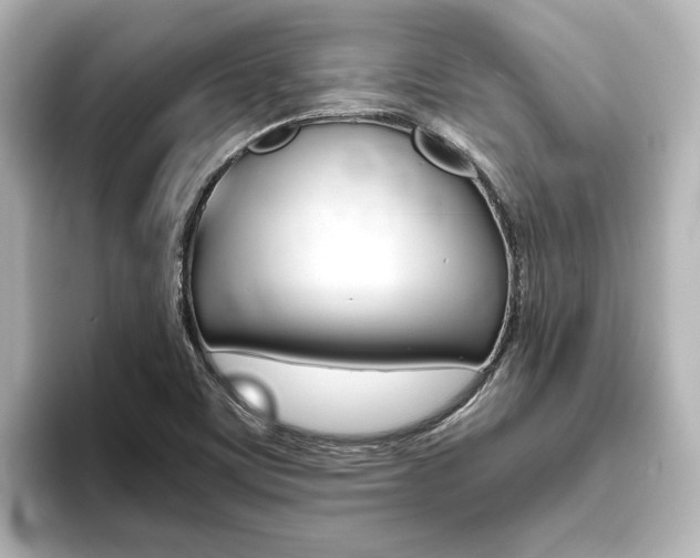 X0000093771459200710160847