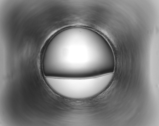 X0000093771460200710160847