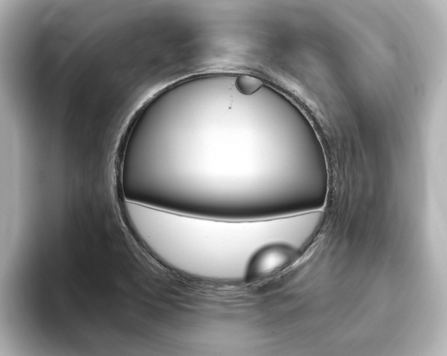 X0000093771463200710160846