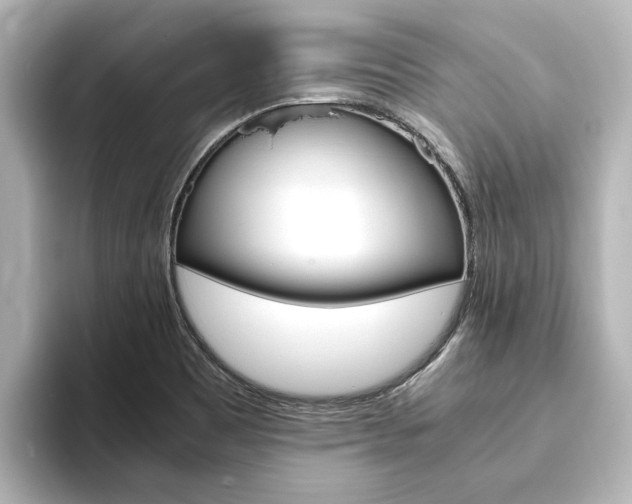 X0000093771465200710160846