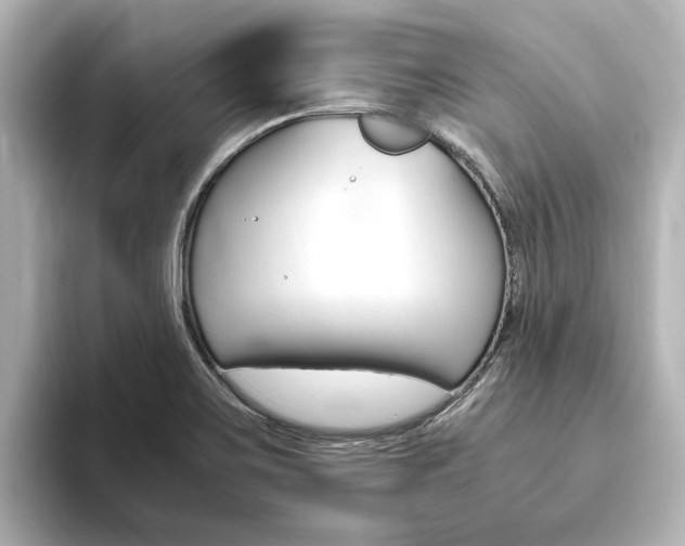 X0000093771467200710160846