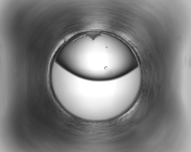 X0000093771469200710160846