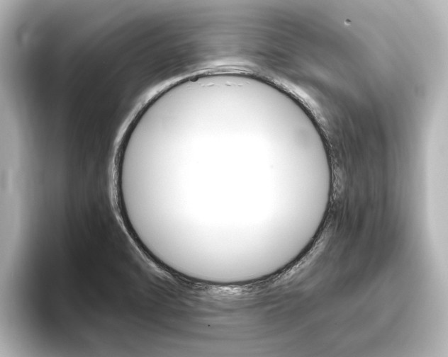 X0000093771470200710160846