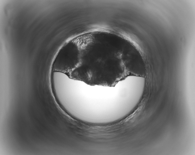 X0000093771471200710160846