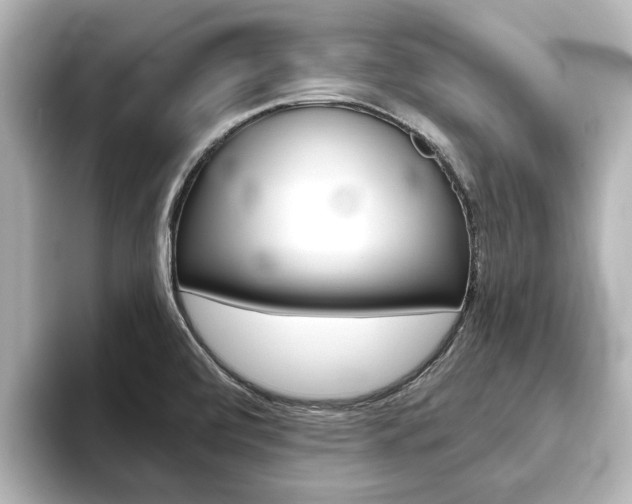 X0000093771472200710160846