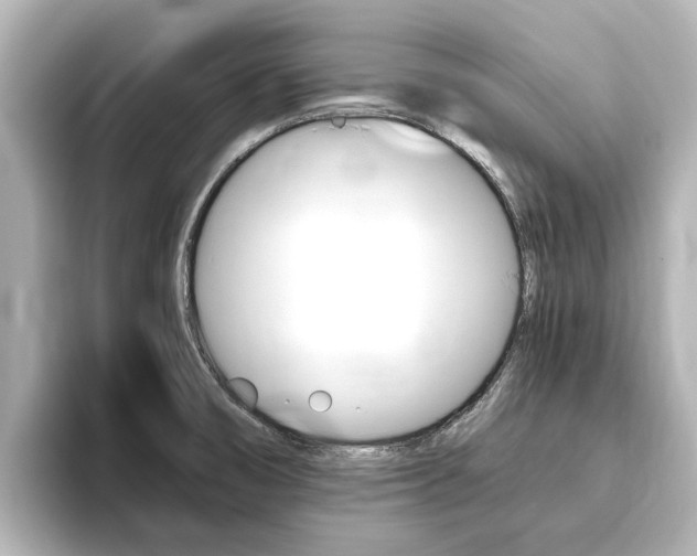 X0000093771474200710160846