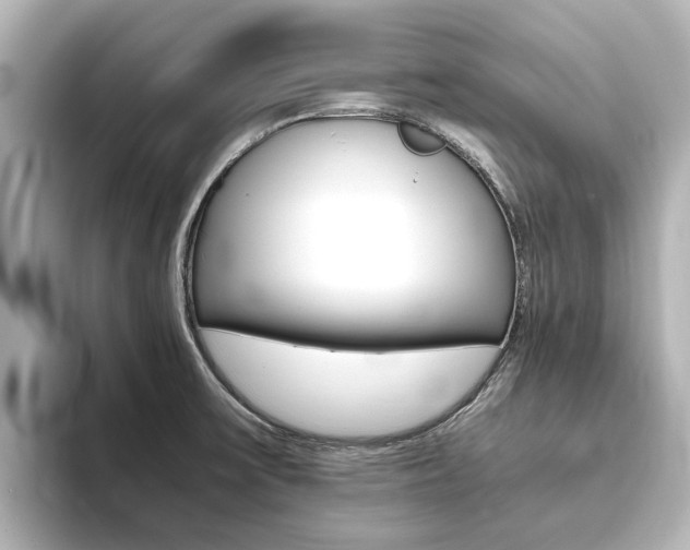 X0000093771475200710160846