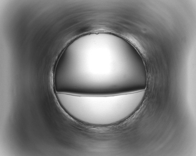 X0000093771476200710160846