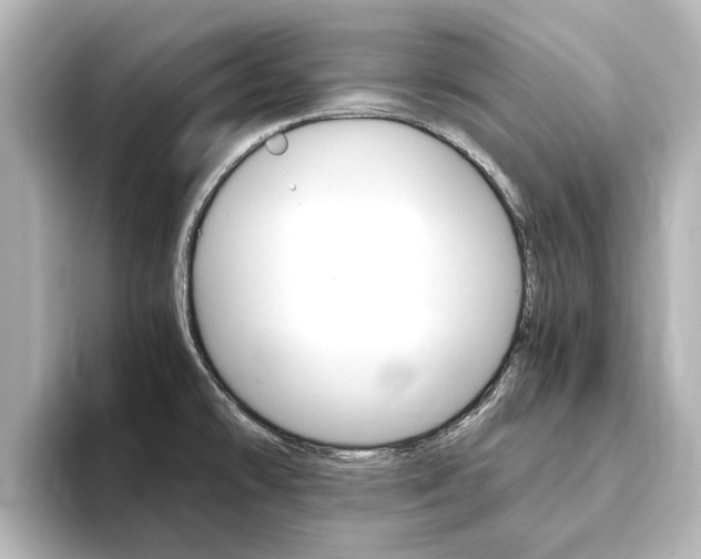 X0000093771478200710160846