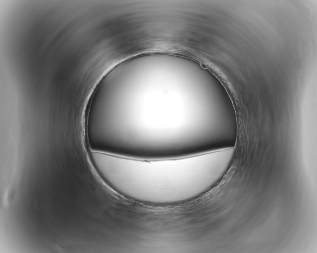 X0000093771479200710160846