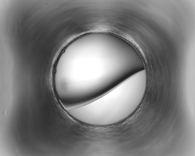 X0000093771480200710160846
