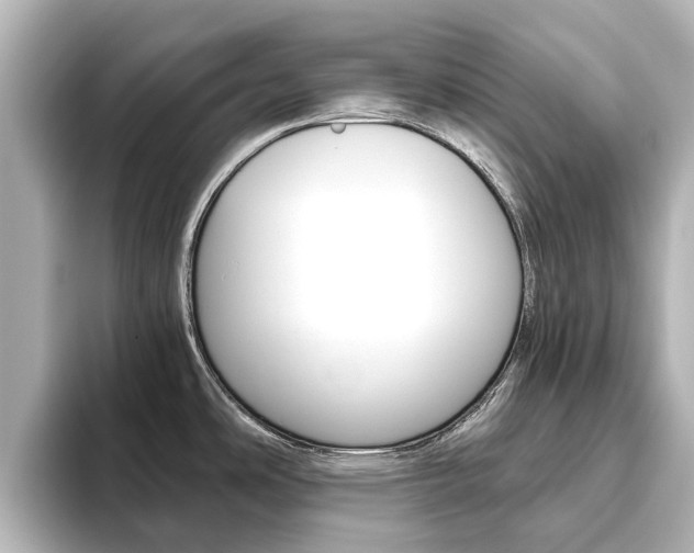 X0000093771486200710160846