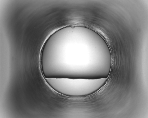 X0000093771487200710160846
