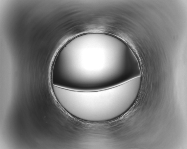 X0000093771488200710160846