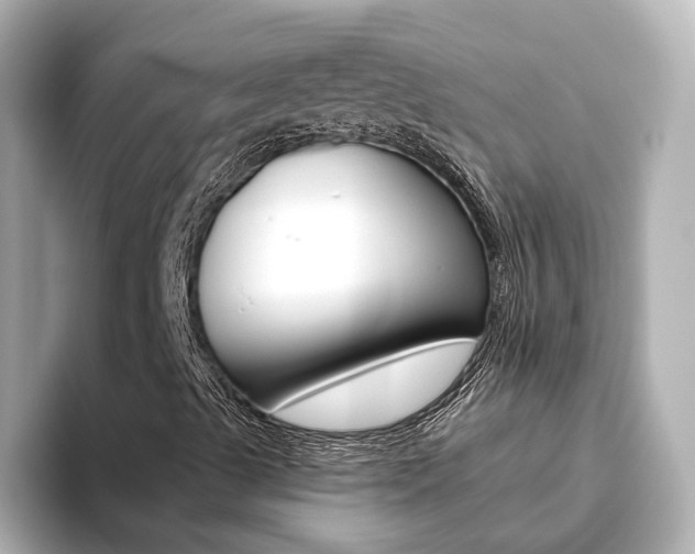 X0000093771489200710160846