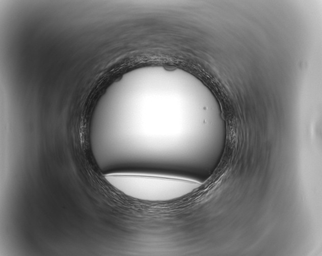 X0000093771490200710160846