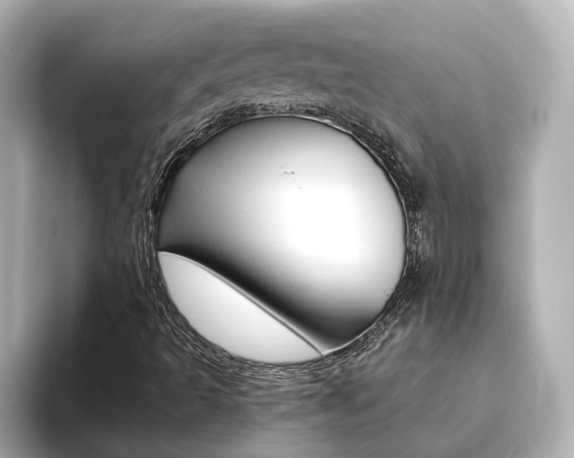 X0000093771493200710160846