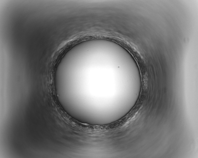 X0000093771494200710160846