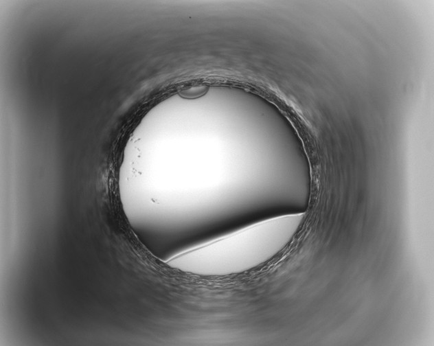 X0000093771495200710160846