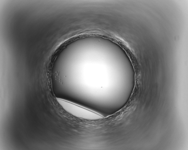 X0000093771496200710160846