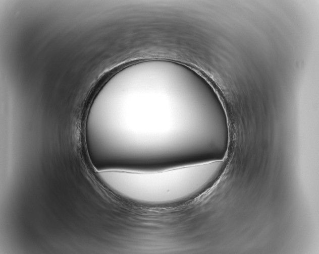 X0000093771499200710160846
